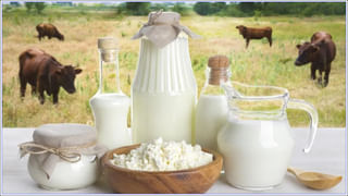 Watch: అయ్యో పాపం చిన్ని ప్రాణం.. కారు ఇంజిన్‌లో ఇరుక్కుపోయి 48 కిలోమీటర్లు నరకయాతన..!