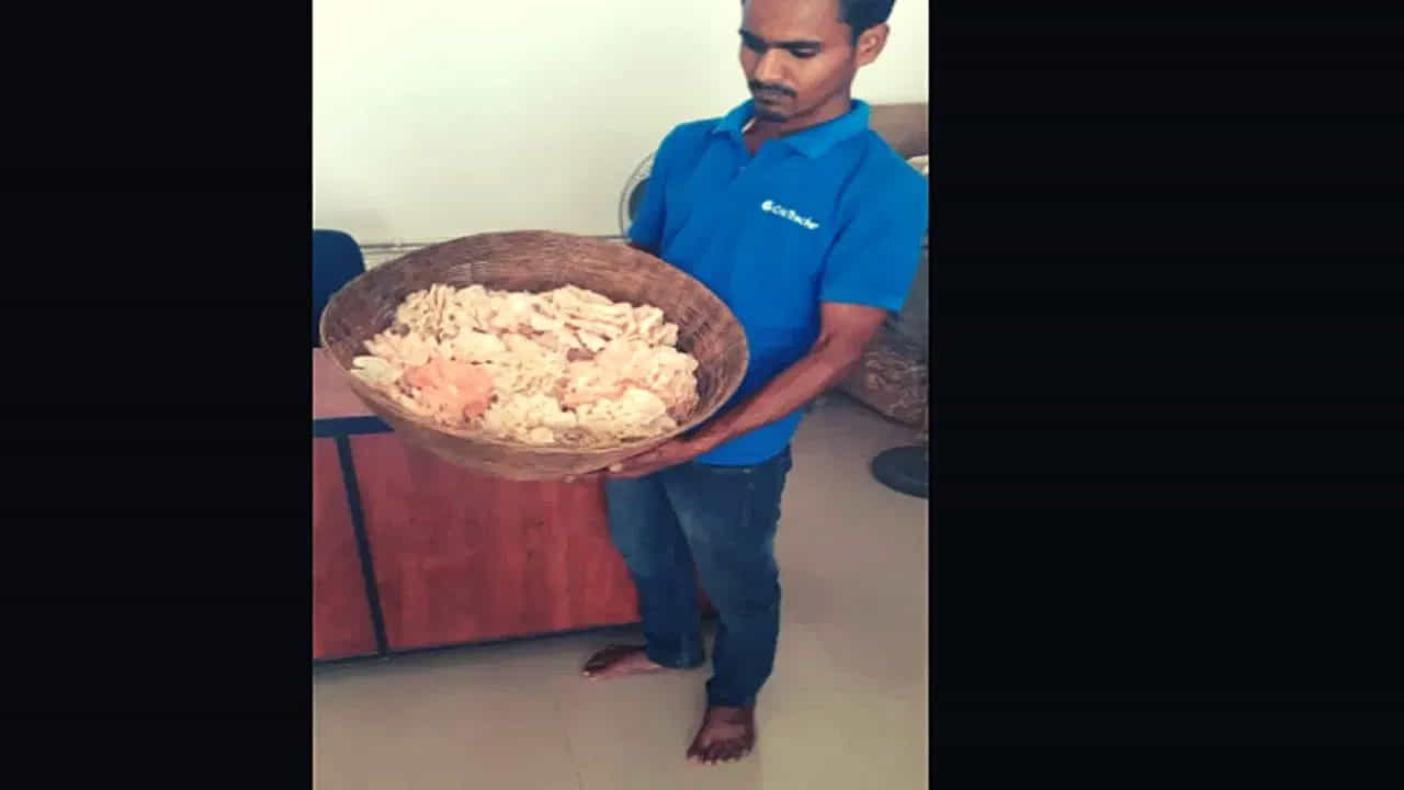 బీహార్ రైతులు పుట్టగొడుగుల సాగుతో దేశవ్యాప్తంగా పేరుపొందారు. దాంతో ఇప్పుడు చిన్న రైతులు కూడా ఇంటింటికీ పుట్టగొడుగుల సాగు చేస్తున్నారు. దీంతో వారి ఆదాయం కూడా పెరిగింది. ప్రత్యేకంగా చెప్పాలంటే, బీహార్కు చెందిన పుట్టగొడుగుల రైతు డాక్టర్ దయారామ్. పుట్టగొడుగులను పెంచేందుకు దయారామ్ రైతులకు ప్రత్యేక శిక్షణ ఇస్తున్నారు.