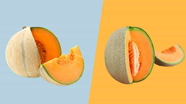 Health Tips: కర్బూజ తిన్న వెంటనే నీరు తాగుతున్నారా? తీవ్రమైన అనారోగ్యానికి గురవుతారు జాగ్రత్త..!