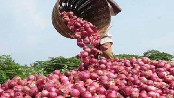 Onion Price: ఉల్లి రైతు కంట కన్నీరు.. గత ఐదేళ్లలో కనీవినని రీతిలో కనిష్ఠానికి పడిపోయిన ఉల్లి ధరలు