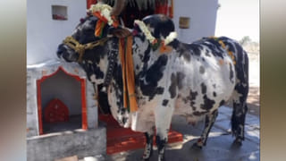 Hyderabad: హైదరాబాద్ లో దారుణం.. అదనపు కట్నం కోసం భార్యను చిత్రహింసలు పెట్టిన భర్త, అత్తమామలు..