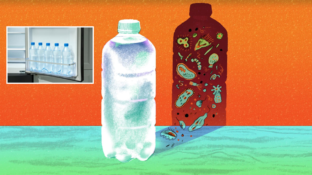 Water Bottles ఫ్రిజ్‌లో ప్లాస్టిక్ బాటిల్స్ ఎందుకు పెట్టకూడదో తెలుసా