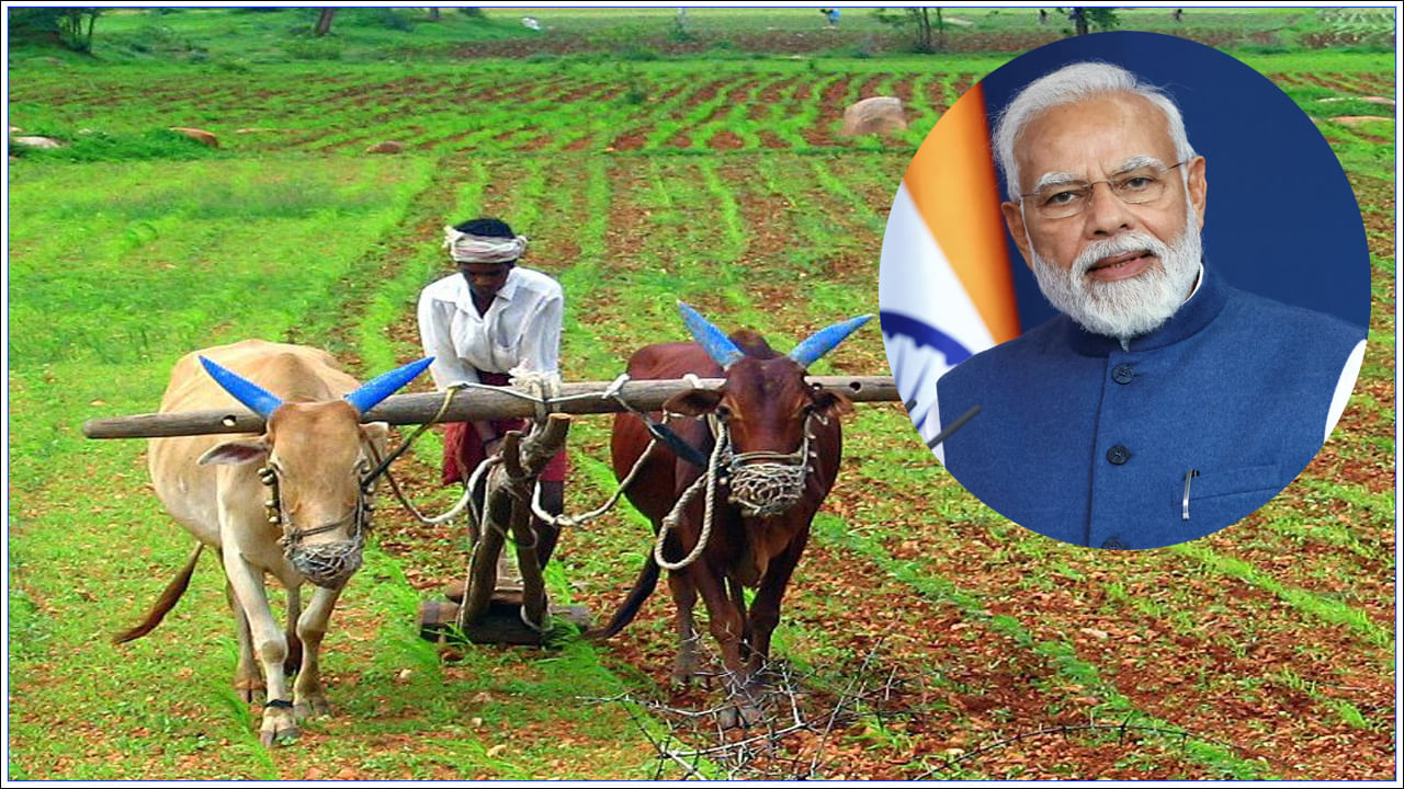 Pm Kisanప్రధానమంత్రి కిసాన్ సమ్మాన్ నిధి యోజనలో కేంద్ర ప్రభుత్వం ఇప్పటివరకు 13 విడతలుగా రూ.2,000 విడుదల చేసింది. ఇప్పుడు 14వ విడత డబ్బులు రావాల్సి ఉంది. కేంద్ర ప్రభుత్వం సంవత్సరానికి 3 సార్లు నేరుగా లబ్ధిదారుల ఖాతాలకు డబ్బును బదిలీ చేస్తుంది. 