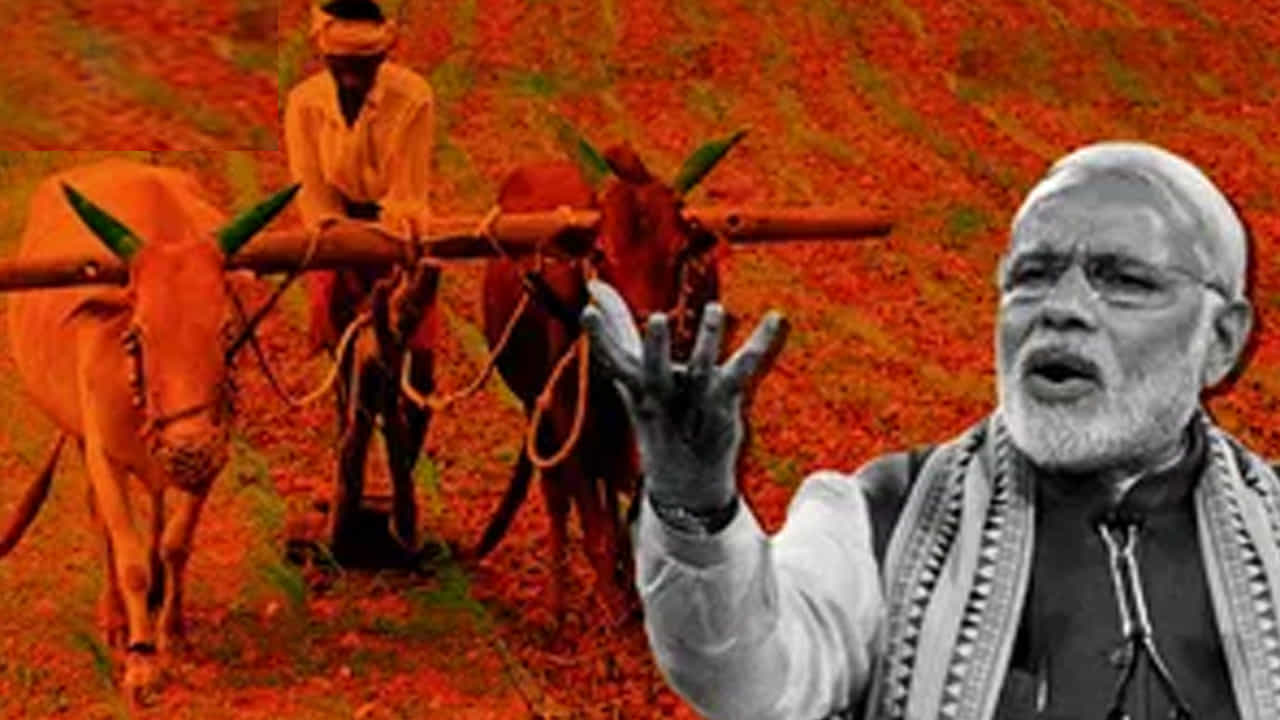 ఎలా దరఖాస్తు చేయాలో తెలుసా?.. మీరు ఈ పథకం ప్రయోజనాన్ని పొందాలనుకుంటే మీరు భారత ప్రభుత్వ జాతీయ వ్యవసాయ మార్కెట్ (https://www.enam.gov.in) అధికారిక వెబ్సైట్ను సందర్శించాలి. ఆ తర్వాత మీరు FPO ఎంపిక పేజీని ఓపెన్ చేయాలి. ఇక్కడ క్లిక్ చేయడం ద్వారా కొత్త పేజీ రిజిస్ట్రేషన్ లేదా లాగిన్తో కనిపిస్తుంది. ఇక్కడ మొత్తం సమాచారాన్ని పూరించడం ద్వారా ఈ పథకం ప్రయోజనాన్ని సులభంగా పొందవచ్చు.