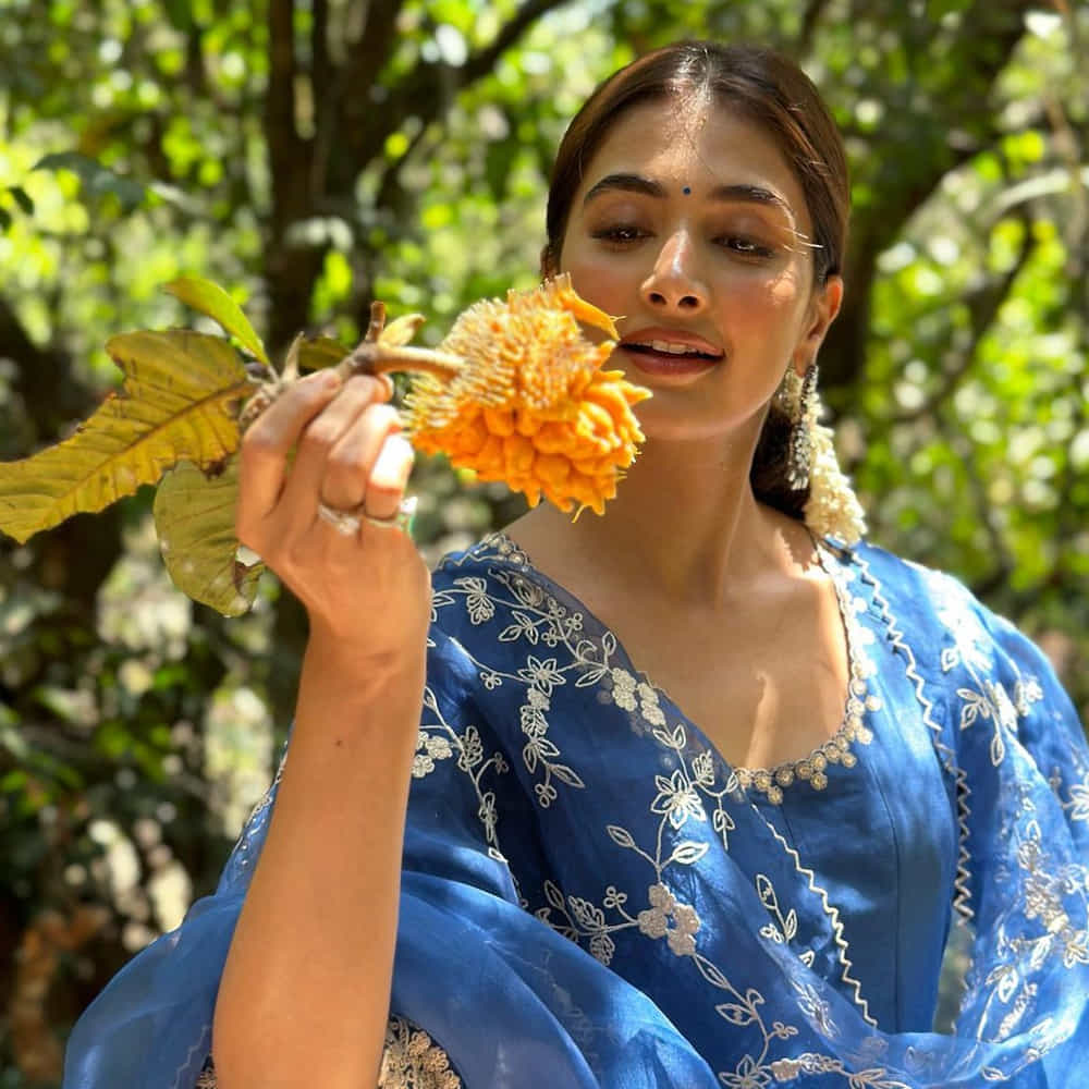 ఇక పూజ హెగ్డే టాలీవుడ్ స్టార్ హీరోలందరి సరసన నటించి మెప్పించింది.