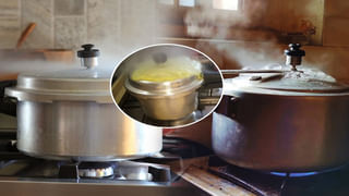 వేసవిలో దోమలబెడదతో ఇబ్బంది పడుతున్నారా..? ఈ చిన్న దీపం మీ సమస్యను పరిష్కరిస్తుంది.. !