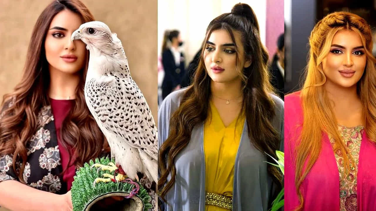షేఖా మహారా సాధారణంగా UAEలోని వివిధ ప్రదర్శనలు, ఫ్యాషన్ షోలు, అవార్డు ఫంక్షన్లలో కనిపిస్తారు. ఆమె తన ఇన్‌స్టాగ్రామ్ ఖాతాలో ఈ ఫంక్షన్ల చిత్రాలను కూడా షేర్ చేస్తుంటారు. ఈద్ 2021 సందర్భంగా అతను దుబాయ్ ప్రభుత్వ కమ్యూనిటీ డెవలప్‌మెంట్ అథారిటీకి రాయల్ ఫ్యామిలీ సందర్శనకు చీఫ్ అంబాసిడర్‌గా కూడా పనిచేశాడు.