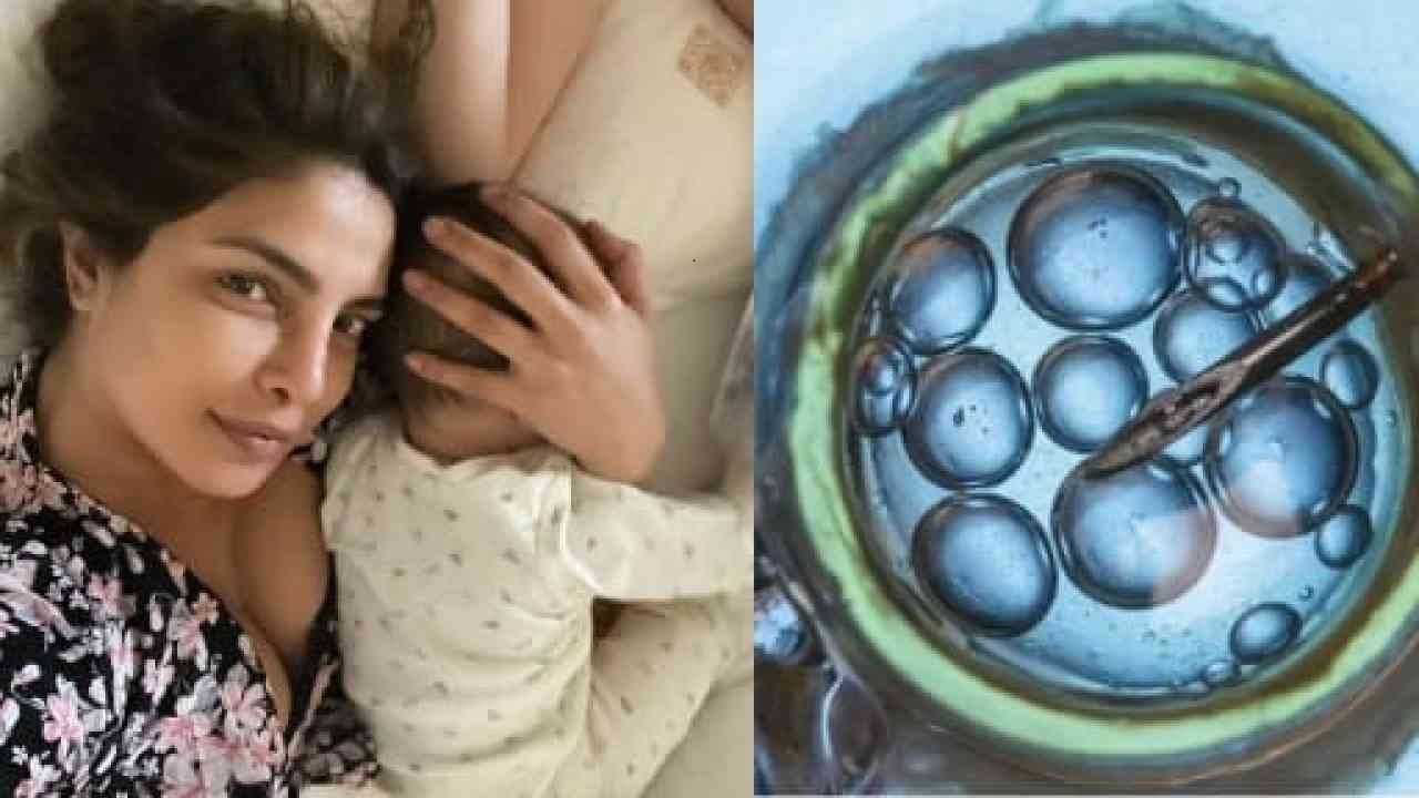 Egg Freezing: ఇలా కూడా తల్లి కావొచ్చా? ప్రియాంక చొప్రా చెప్పిన ‘ఎగ్ ఫ్రీజింగ్’ అంటే ఏమిటి? పూర్తి వివరాలు..