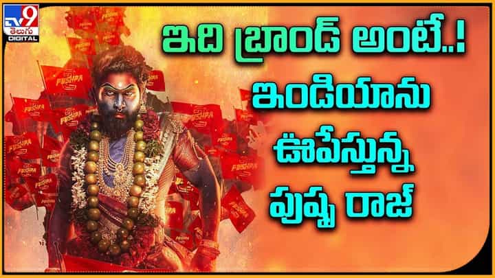 Allu Arjun: ఇది బ్రాండ్ అంటే !! త్రూ అవుట్ ఇండియా పుష్ప రాజ్ హవా.. Allu Arjun: ఇది బ్రాండ్ అంటే !! త్రూ అవుట్ ఇండియా పుష్ప రాజ్ హవా..