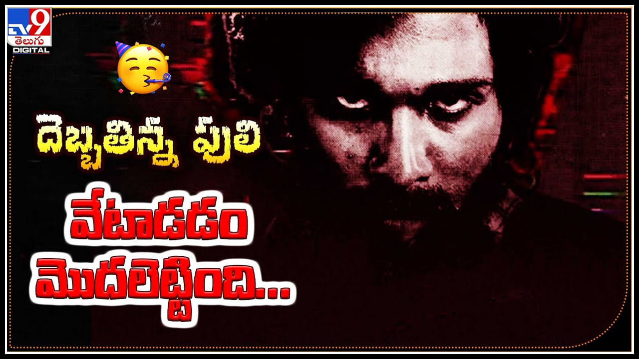 Pushpa 2: దెబ్బతిన్న పులి.! వేటాడడం మొదలెట్టింది..! సోషల్ మీడియాకే చెమటలు పట్టిస్తున్న పుష్ప.. Pushpa 2: దెబ్బతిన్న పులి.! వేటాడడం మొదలెట్టింది..! సోషల్ మీడియాకే చెమటలు పట్టిస్తున్న పుష్ప..