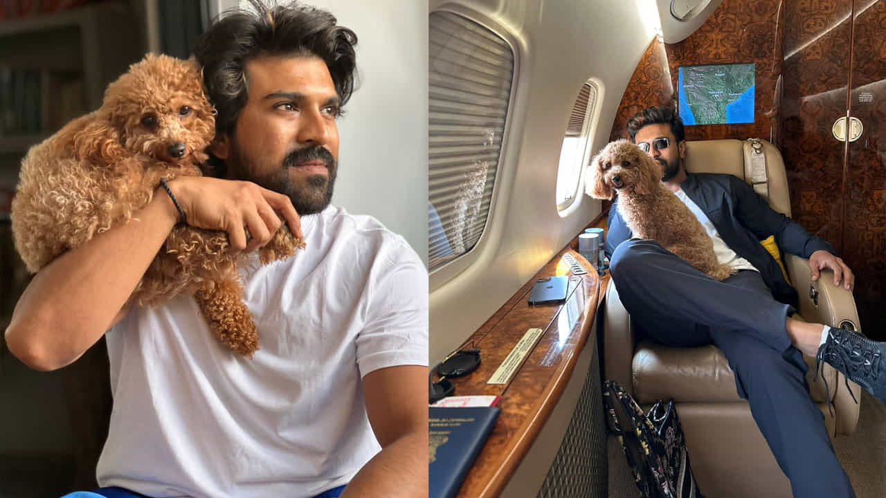 సినిమా షూటింగులు లేకపోతే  రైమ్‌తోనే ఎక్కువ కాలక్షేపం చేస్తాడు చెర్రీ. అన్నట్టు... రైమ్ కు ఇన్ స్టాగ్రామ్ లో సొంత అకౌంట్ కూడా ఉందండోయ్. ఆ అకౌంట్ ను 58 వేల మంది ఫాలో అవుతున్నారంటే రైమ్ ఎంత పాపులరో అర్థమవుతుంది.