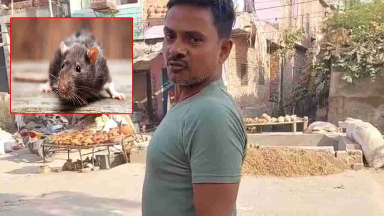 Rat Murder Case: ఎలుకను చంపినందుకు వ్యక్తిపై 30 పేజీల ఛార్టిషీటు.. మూడేళ్ల జైలు శిక్ష?