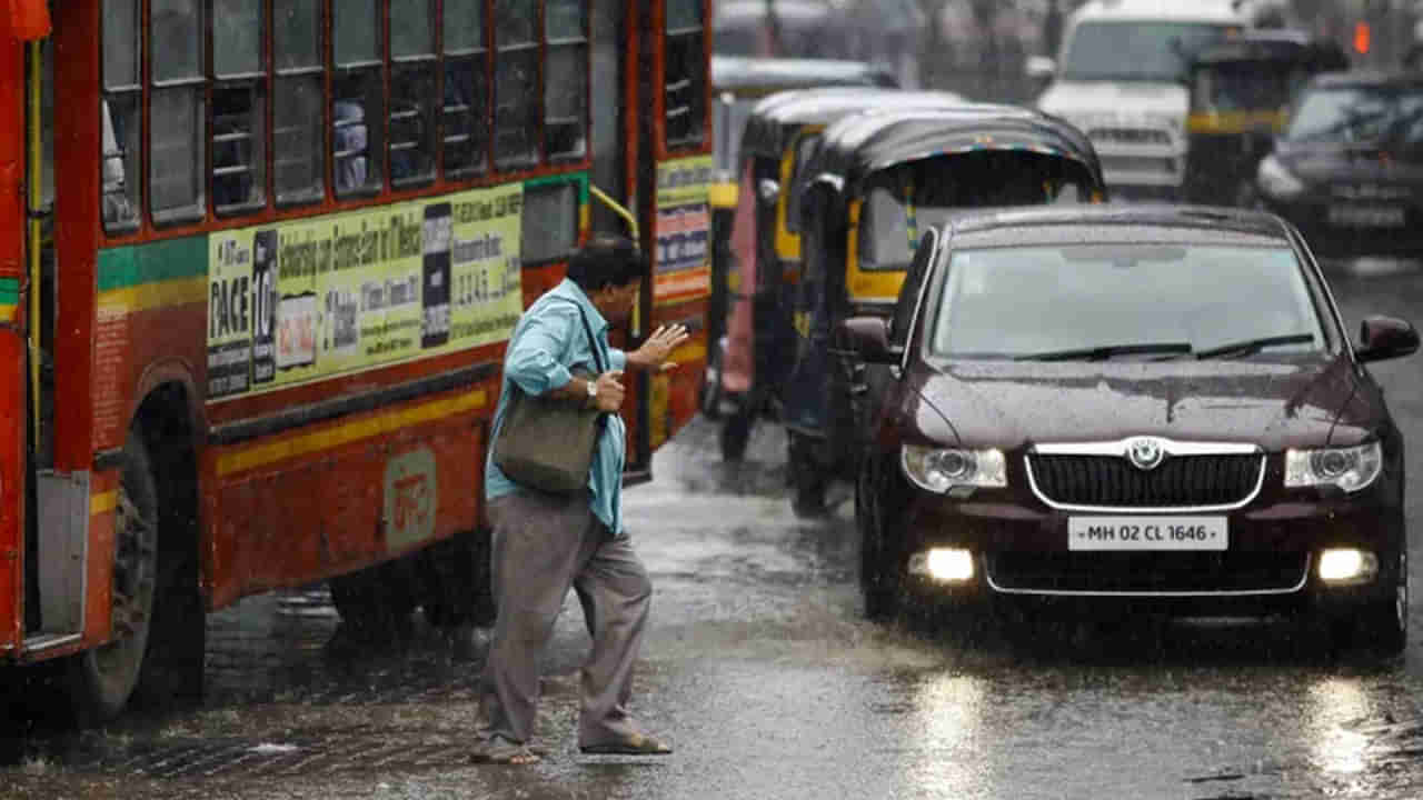 Road Safety Tips: రోడ్డు క్రాస్ చేసేటప్పుడు ఈ జాగ్రత్తలు తీసుకోండి.. తేడా వస్తే ప్రాణాలు గాల్లోనే..