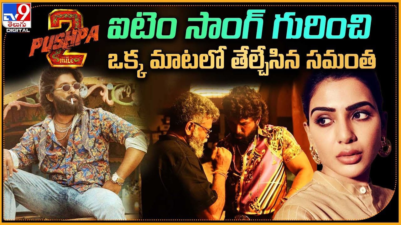 Samantha in Pushpa 2: పుష్ప2 ఐటెం సాంగ్‌ గురించి ఒక్క మాటలో చెప్పిన సమంత..