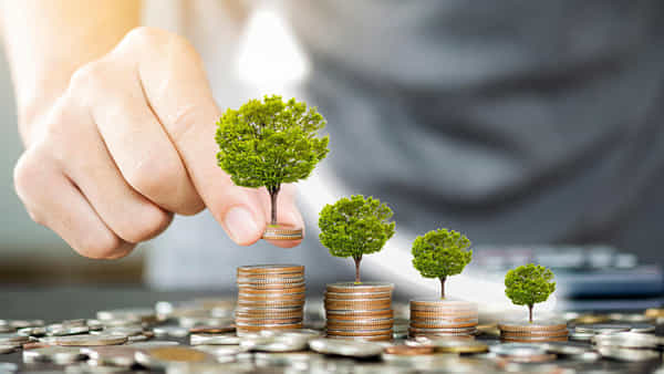 Fixed Deposit: ఎస్బీఐ ప్రత్యేక ఫిక్స్డ్ డిపాజిట్ స్కీమ్ చివరి తేదీ పొడిగింపు.. వడ్డీ ఎంతంటే..!
