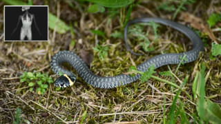 Bengaluru: బర్త్‌డే సెలబ్రేషన్‌లో ప్రియురాలికి చావును గిఫ్ట్‌గా ఇచ్చిన సైకో లవర్.. కేక్ కట్ చేసిన కత్తితోనే..