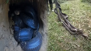 Viral Video: ఓ చీర.. ఇద్దరు మహిళలు.. సీన్ కట్ చేస్తే.. షాపులోనే పొట్టుపొట్టుగా కొట్టుకున్నారు.. వీడియో చూస్తే..