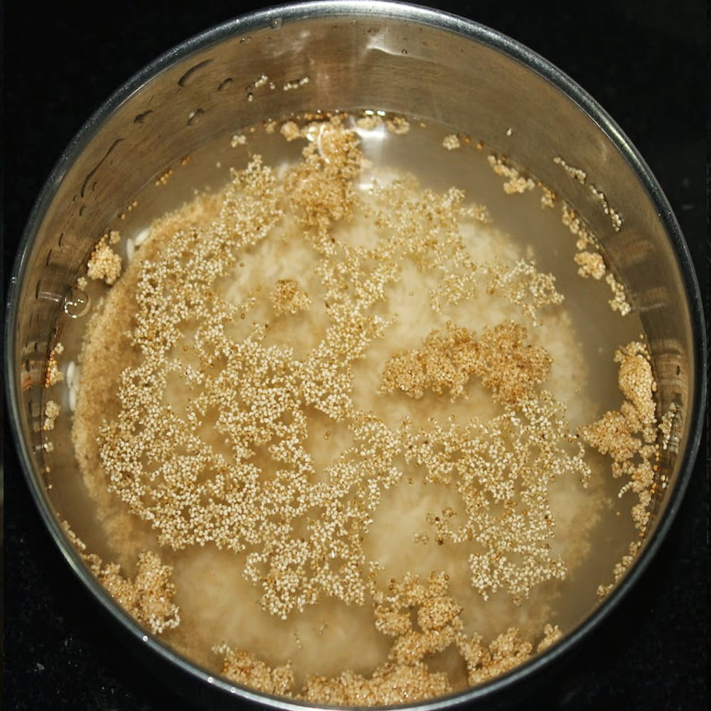 గసగసాలు – జీవక్రియను పెంచడంలో, బరువు తగ్గించడంలో గసగసాలు చాలా సహాయపడతాయి. రాత్రంతా నానబెట్టిన గసగసాలు తీసుకోవడం వల్ల శరీరంలో కొవ్వు పేరుకుపోదు.