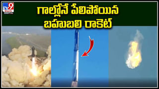 Bird Drones: ఇదేంది సామి.. పిట్టల బాడీతో డ్రోన్స్‌ తయారేంది..? వైరల్ వీడియో.