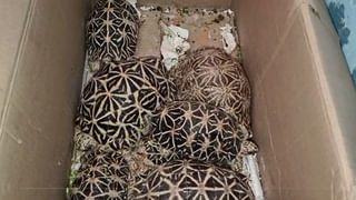 CM Jagan: ప్రభుత్వ ఉద్యోగులకు సూపర్ గుడ్ న్యూస్ చెప్పిన సీఎం జగన్.. ఉత్తర్వులు జారీ