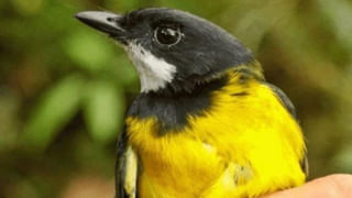 Viral News: పేషెంట్‌తో ప్రేమలో పడ్డ డాక్టర్‌..! ఆమె చనిపోయిన తర్వాత కూడా ఏడేళ్ల పాటు ప్రేమతో..