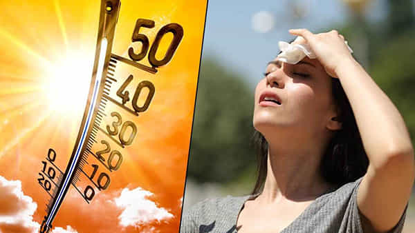 Summer Health: బాబోయ్ ఎండలు.. ఆరోగ్యంగా ఉండాలంటే ఫ్రూట్ సలాడ్ తప్పనిసరిగా తినండి..