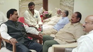 Krishna District: కృష్ణా జిల్లా గుడివాడలో పిడుగుల బీభత్సం.. హడలెత్తిపోయిన ప్రజలు.. గేదెలు మృతి