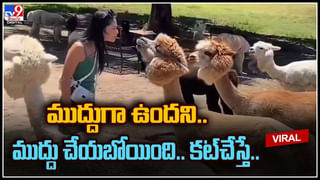 జ్యూస్‌ప్యాక్‌లో వింత శబ్ధాలు.. ఓపెన్‌ చేయగానే !!