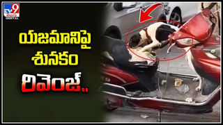 Viral Video: ఇదే మానవత్వం అంటే..! పంజరంలో పక్షులను కొని స్వేచ్ఛనిచ్చిన యువకుడు.. వీడియో వైరల్