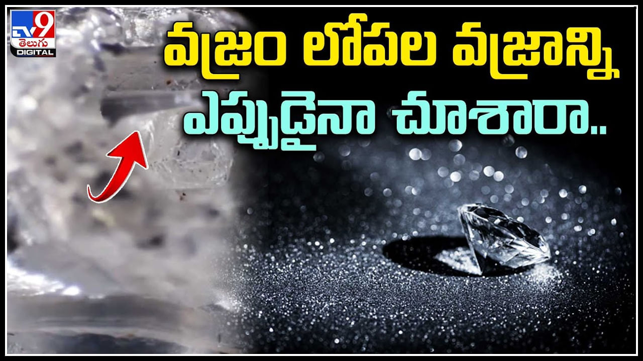 Rare Diamond: వజ్రం లోపల వజ్రాన్ని ఎప్పుడైనా చూశారా.. అరుదైన వజ్రం.. మనదేశంలోనే