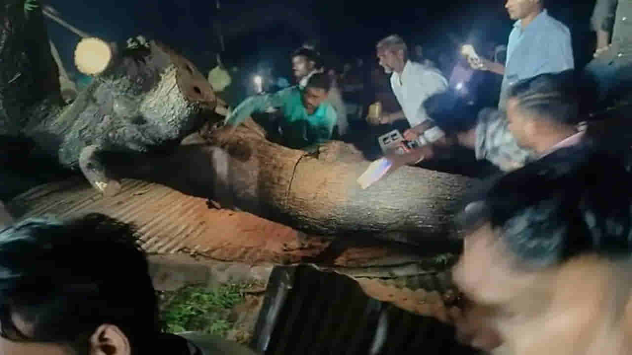 Maharashtra: మహారాష్ట్రలో ఘోర విషాదం.. రేకుల షెడ్డుపై చెట్టు కూలి 7 గురు మృతి