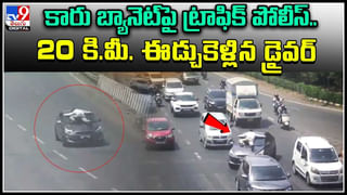 Rare Diamond: వజ్రం లోపల వజ్రాన్ని ఎప్పుడైనా చూశారా.. అరుదైన వజ్రం.. మనదేశంలోనే