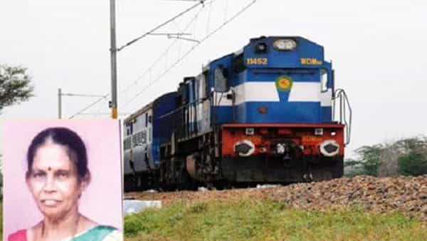 రైలు పట్టాలపై పడిపోయిన చెట్టు.. రైలు వస్తుండటాన్ని గమనించిన 70 ఏళ్ల బామ్మ ఏం చేసిందంటే