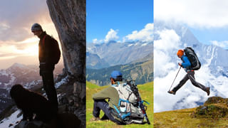 Healthy Food: అతిగా వాడితే ఆవాలు కూడా ప్రాణాంతకమే..! నిపుణులు ఏం చెబుతున్నారంటే..