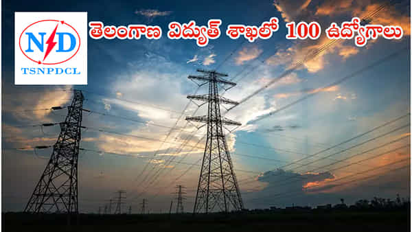 TS Govt Jobs: మరో గుడ్న్యూస్.. తెలంగాణ విద్యుత్ శాఖలో 100 ఉద్యోగాలకు నోటిఫికేషన్ విడుదల