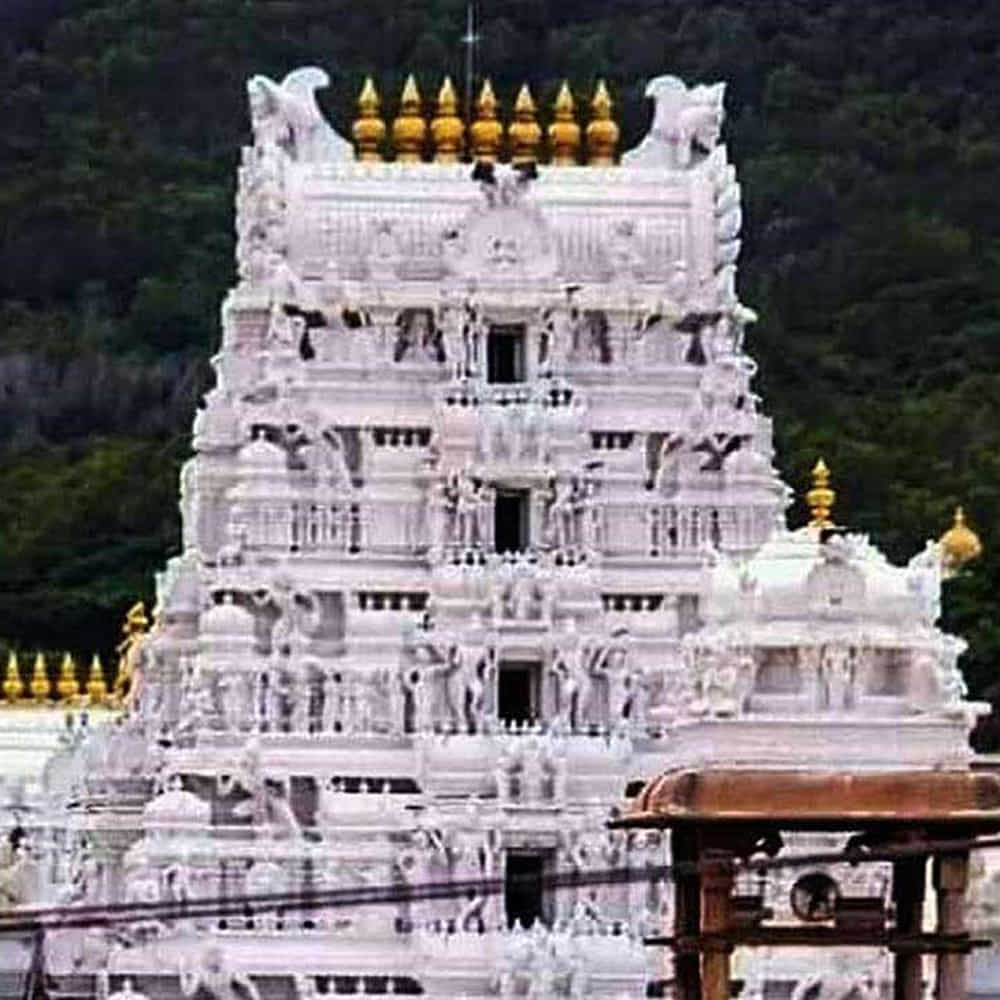 ఈ క్రమంలో కొందరు నకిలీ వెబ్ సైట్లను ప్రారంభించి.. భక్తులను మాయ చేస్తున్నారు. ఇలాంటి ఫేక్ వెబ్ సైట్ల పట్ల అప్రమత్తంగా ఉండాలని తాజాగా భక్తులకు సూచించింది టీటీడీ.