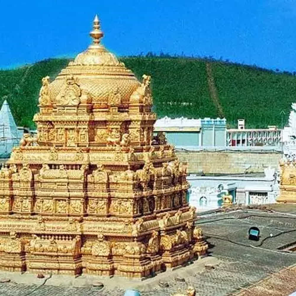 అయితే వెంకన్న భక్తలే టార్గెట్గా మోసాలకు పాల్పడుతున్నారు కొందరు దుండగులు. టోకెన్ల కోసం, సమాచారం కోసం, విరాళాల ఇచ్చేందుకు టీటీడీ అధికారిక వెబ్సైట్ను నిత్యం లక్షల మంది సందర్శిస్తారు.
