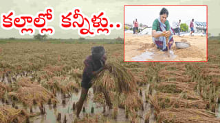 Hyderabad: ఊబిలో చిక్కుకున్న గుర్రం.. రక్షించేందుకు వెళ్లి గుర్రం సహా ఇద్దరు యువకులు మృతి..