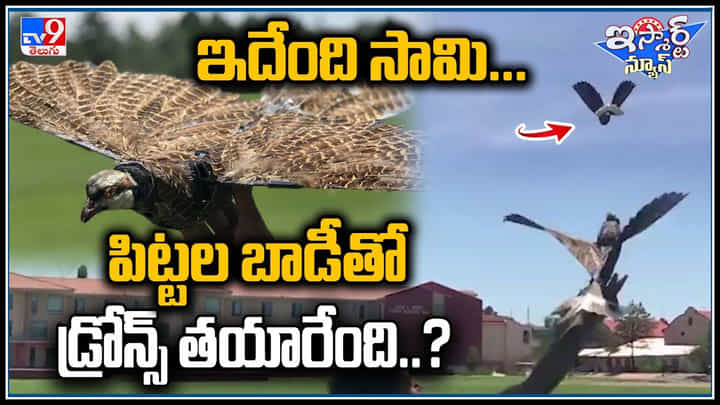 Bird Drones: ఇదేంది సామి.. పిట్టల బాడీతో డ్రోన్స్ తయారేంది..? వైరల్ వీడియో. Bird Drones: ఇదేంది సామి.. పిట్టల బాడీతో డ్రోన్స్ తయారేంది..? వైరల్ వీడియో.