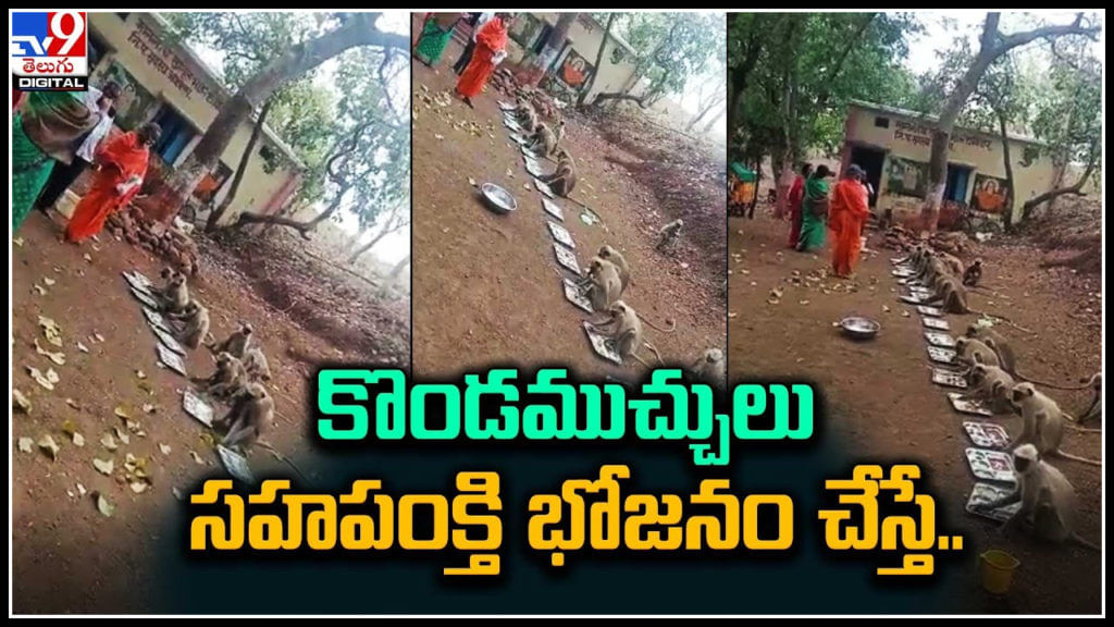 Vanar Sena Had Lunch Sitting In A Row Video Goes Viral
