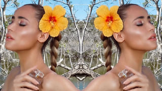 Pets: అపార్ట్‌మెంట్స్‌లో కుక్కల గొడవ- పెట్ ఓనర్స్‌కు ఉన్న హక్కులేంటి..? అసోసియేషన్లకు ఉన్న బాధ్యతలేంటి..?