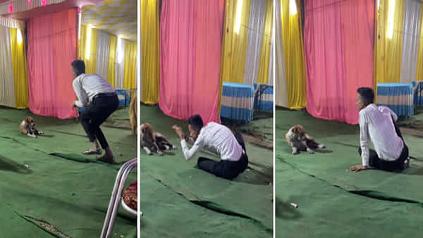 Viral Video: మద్యం చేసే అద్భుతం.. కుక్క ముందు యువకుడు నాగినీ డ్యాన్స్.. నెట్టింట్లో వీడియో వైరల్