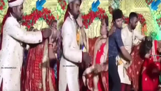 Watch: నా దగ్గర పప్పులుడకవ్.. గుడ్ల కోసం వచ్చిన మహిళలకు చుక్కలు చూపించిన నెమలి