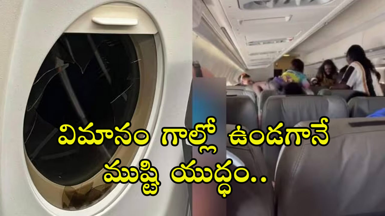 Viral Video: విమానంలో మహిళల మధ్య తగాదా.. కిటికీ పగలగొట్టిన వైనం.. ఆ తర్వాత ఏమైందంటే..