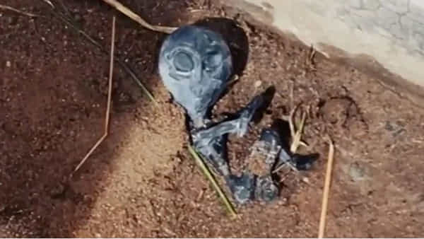 Viral: మట్టిలో కనిపించిన నల్లటి ఆకారం.. ఏంటని దగ్గరకెళ్లి చూడగా ఊహించని సీన్..
