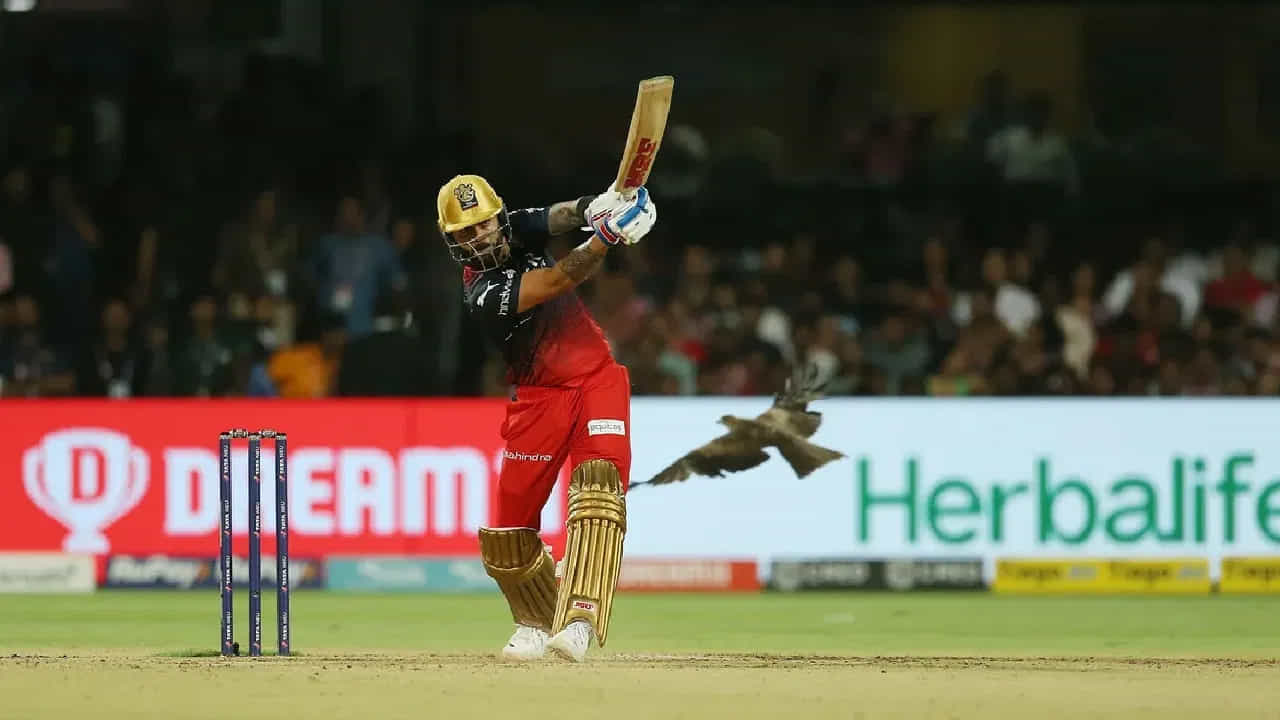 ఇలా సంచలన ప్రదర్శన చేసిన కోహ్లీ ఓ సరికొత్త రికార్డు సృష్టించాడు. ఈ మ్యాచ్లో 4 సిక్సర్లు కొట్టిన కోహ్లీ ఐపీఎల్లో మొత్తం 227 సిక్సర్లు బాదినట్లయింది. దీంతో అత్యధిక సిక్సర్లు కొట్టిన టాప్ 5 ఐపీఎల్ ప్లేయర్ల జాబితాలోకి 5వ స్థానాన్ని సొంతం చేసుకున్నాడు. లక్నో తరఫున అవేశ్ ఖాన్ వేసిన 2వ ఓవర్ 3వ బంతికి కోహ్లి భారీ సిక్సర్ బాది.. ఈ ఘనత సాధించాడు.