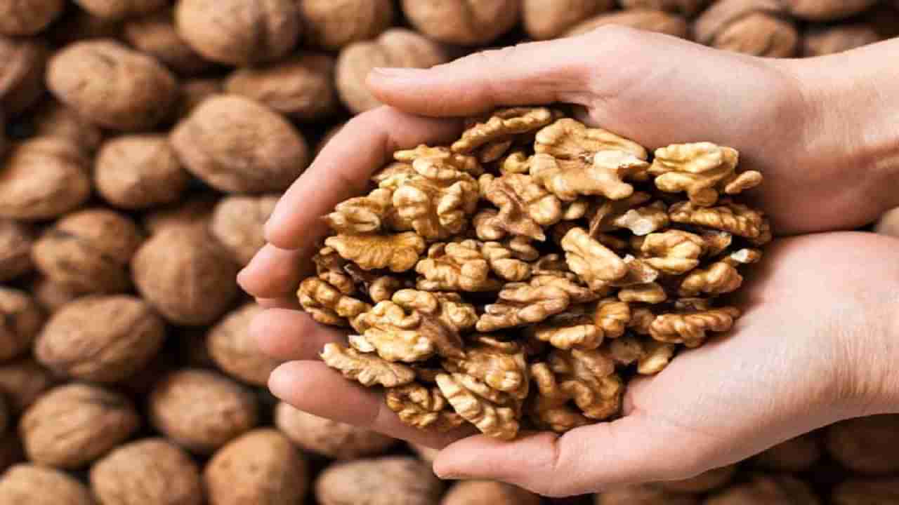 Walnuts Uses: వాల్‌నట్స్‌తో జ్ఞాపక శక్తి మెరుగు.. సంచలన నివేదికలో నివ్వెరపోయే వాస్తవాలు