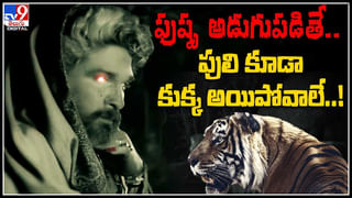 Prabhas Fans: అప్డేట్ ఇవ్వండి రా బాబు..! ఆదిపురుష్ మేకర్స్ పై డార్లింగ్ ఫాన్స్ ఫైర్..