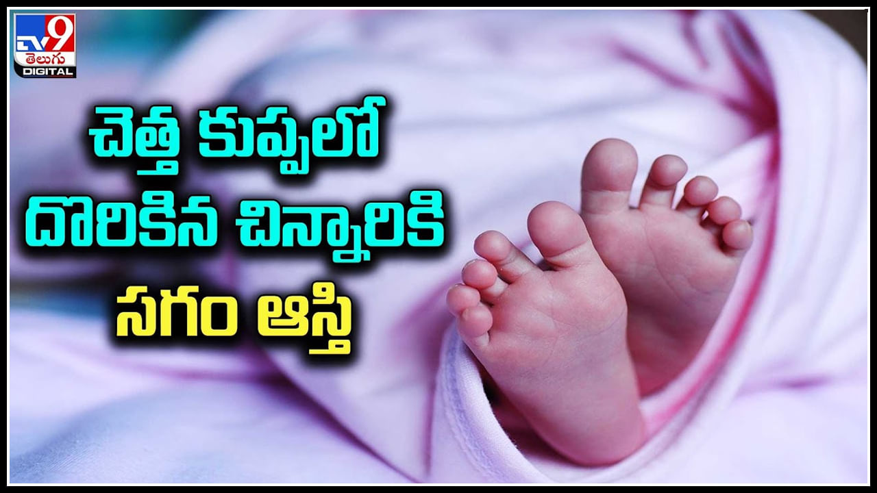 Viral: చెత్త కుప్పలో దొరికిన చిన్నారికి సగం ఆస్తి..! పెద్ద మనస్సు చాటుకున్న మహిళ..