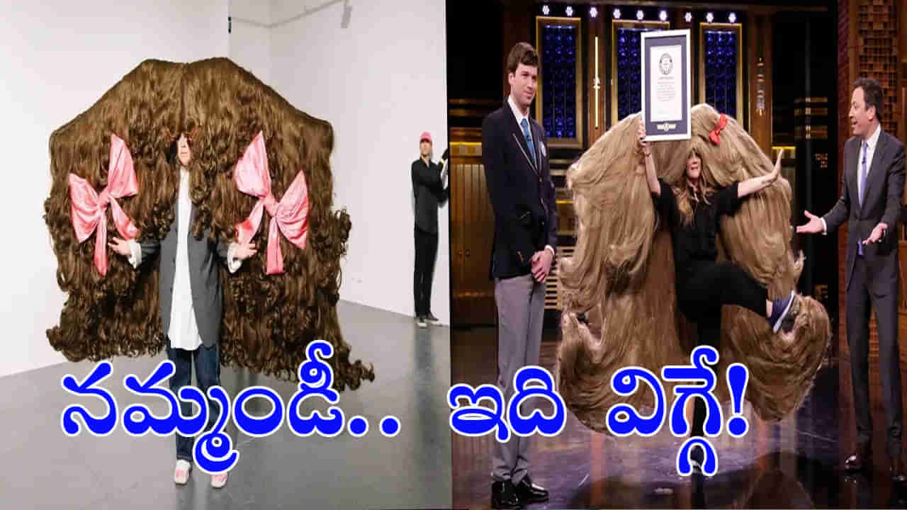 Worlds Widest Wig: ఇది విగ్గే.. కాకపోతే కాస్త పె..ద్ద..ది! గిన్నీస్‌ రికార్డు బ్రేక్‌ చేసిన మహిళ..